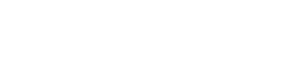 Logo Travel Angels